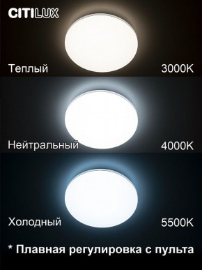 Накладной светильник Citilux Симпла CL714330G в Еманжелинске - emanzhelinsk.ok-mebel.com | фото 4