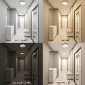 Накладной светильник Denkirs Cany DK6516-WH в Еманжелинске - emanzhelinsk.ok-mebel.com | фото 2
