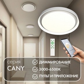 Накладной светильник Denkirs Cany DK6516-WH в Еманжелинске - emanzhelinsk.ok-mebel.com | фото 4