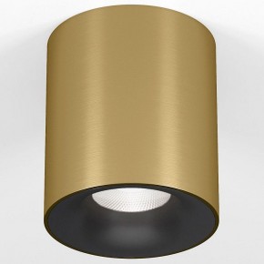 Накладной светильник Elektrostandard Primo 25116/LED в Еманжелинске - emanzhelinsk.ok-mebel.com | фото 2