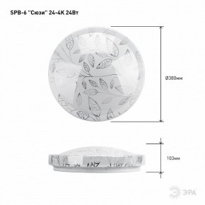 Накладной светильник Эра Классик SPB-6-24-4K (C) в Еманжелинске - emanzhelinsk.ok-mebel.com | фото 6