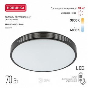 Накладной светильник Эра Классик SPB-6-70-RC Liburn в Еманжелинске - emanzhelinsk.ok-mebel.com | фото 10