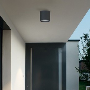 Накладной светильник Favourite Fantum 4663-1U в Еманжелинске - emanzhelinsk.ok-mebel.com | фото 3