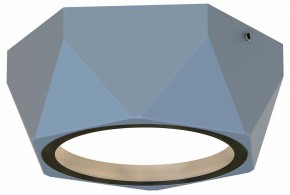 Накладной светильник Favourite Fantum 4669-1U в Еманжелинске - emanzhelinsk.ok-mebel.com | фото