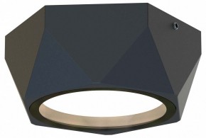 Накладной светильник Favourite Fantum 4670-1U в Еманжелинске - emanzhelinsk.ok-mebel.com | фото