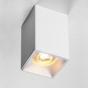 Накладной светильник Lightstar Rullo 213336 в Еманжелинске - emanzhelinsk.ok-mebel.com | фото 2