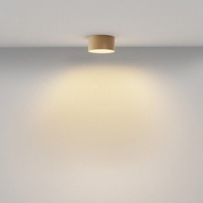 Накладной светильник Maytoni Zon C032CL-12W2.7K-RD-MG в Еманжелинске - emanzhelinsk.ok-mebel.com | фото 4