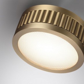 Накладной светильник Odeon Light Manchester 7013/7CL в Еманжелинске - emanzhelinsk.ok-mebel.com | фото 5