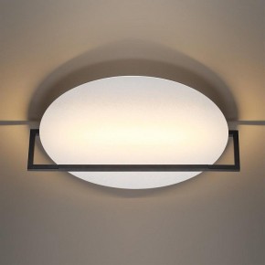 Накладной светильник Odeon Light Next 7015/20WL в Еманжелинске - emanzhelinsk.ok-mebel.com | фото 2