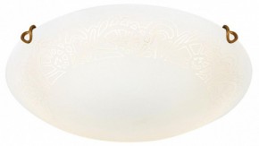 Накладной светильник Sonex Ammonite 7602/DL в Еманжелинске - emanzhelinsk.ok-mebel.com | фото 3