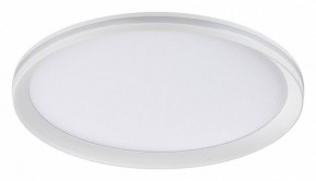 Накладной светильник Sonex Beta 7749/60L в Еманжелинске - emanzhelinsk.ok-mebel.com | фото