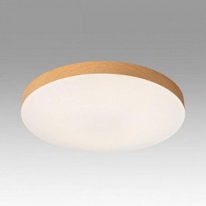 Накладной светильник Sonex Gamma 7761/24L в Еманжелинске - emanzhelinsk.ok-mebel.com | фото 3