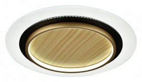Накладной светильник Sonex Sunny 7731/80L в Еманжелинске - emanzhelinsk.ok-mebel.com | фото