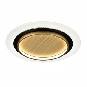 Накладной светильник Sonex Sunny 7731/80L в Еманжелинске - emanzhelinsk.ok-mebel.com | фото 4