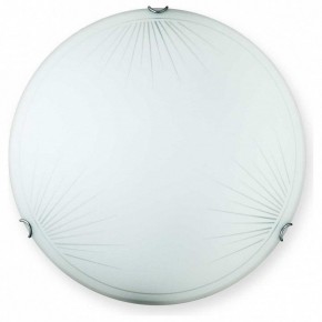 Накладной светильник TopLight Wifa TL9142Y-00WH в Еманжелинске - emanzhelinsk.ok-mebel.com | фото