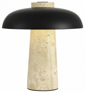 Настольная лампа декоративная ST-Luce Earthy SL1194.424.01 в Еманжелинске - emanzhelinsk.ok-mebel.com | фото 3