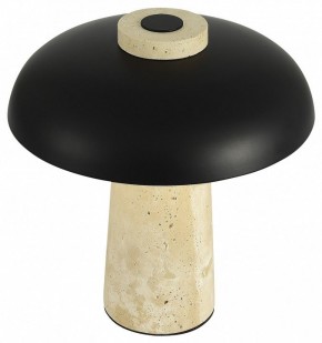 Настольная лампа декоративная ST-Luce Earthy SL1194.424.01 в Еманжелинске - emanzhelinsk.ok-mebel.com | фото 5