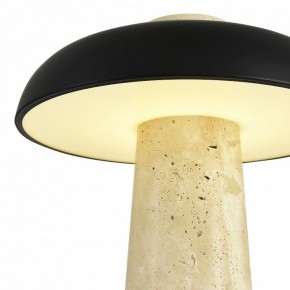 Настольная лампа декоративная ST-Luce Earthy SL1194.424.01 в Еманжелинске - emanzhelinsk.ok-mebel.com | фото 6