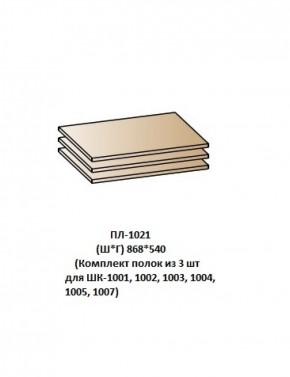 ПЛ-1021 (Комплект полок из 3 шт для ШК-1001, 1002, 1003, 1004, 1005, 1007) в Еманжелинске - emanzhelinsk.ok-mebel.com | фото