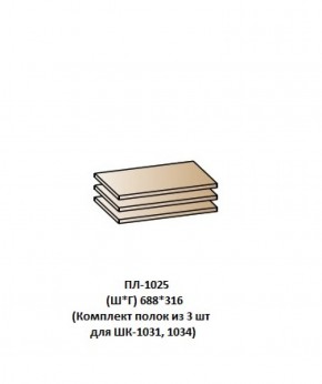 ПЛ-1025 (Комплект полок из 3 шт для ШК-1031, 1034) в Еманжелинске - emanzhelinsk.ok-mebel.com | фото