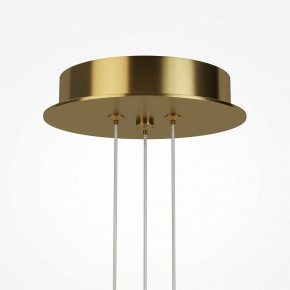 Подвесная люстра Maytoni Arana MOD401PL-L108BS3K в Еманжелинске - emanzhelinsk.ok-mebel.com | фото 7