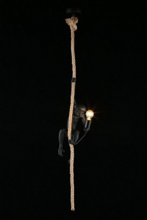 Подвесной светильник Aployt Magali APL.309.16.01 в Еманжелинске - emanzhelinsk.ok-mebel.com | фото 3