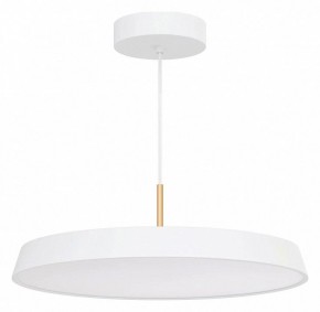 Подвесной светильник Arlight ELEGANT 033925(1) в Еманжелинске - emanzhelinsk.ok-mebel.com | фото 2