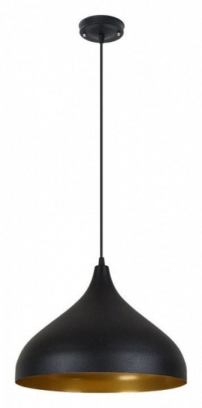 Подвесной светильник Arte Lamp Carmel A7076SP-1BK в Еманжелинске - emanzhelinsk.ok-mebel.com | фото 2