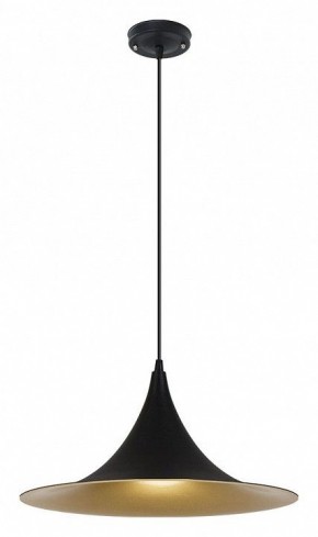 Подвесной светильник Arte Lamp Carmel A7080SP-1BK в Еманжелинске - emanzhelinsk.ok-mebel.com | фото 2