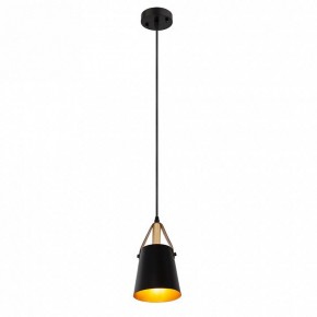 Подвесной светильник Arte Lamp Thomas A7032SP-1BK в Еманжелинске - emanzhelinsk.ok-mebel.com | фото 3