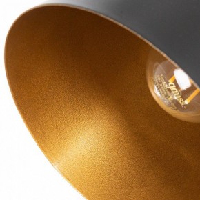 Подвесной светильник Arte Lamp Thomas A7032SP-1BK в Еманжелинске - emanzhelinsk.ok-mebel.com | фото 5