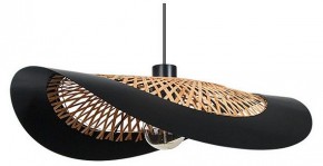 Подвесной светильник Arte Lamp Woodstock A7059SP-1BK в Еманжелинске - emanzhelinsk.ok-mebel.com | фото