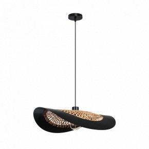 Подвесной светильник Arte Lamp Woodstock A7059SP-1BK в Еманжелинске - emanzhelinsk.ok-mebel.com | фото 2