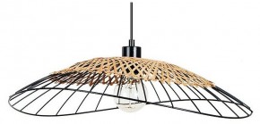 Подвесной светильник Arte Lamp Woodstock A7061SP-1BK в Еманжелинске - emanzhelinsk.ok-mebel.com | фото