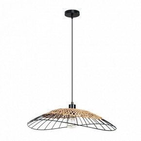 Подвесной светильник Arte Lamp Woodstock A7061SP-1BK в Еманжелинске - emanzhelinsk.ok-mebel.com | фото 2