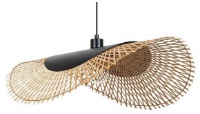 Подвесной светильник Arte Lamp Woodstock A7063SP-1BK в Еманжелинске - emanzhelinsk.ok-mebel.com | фото