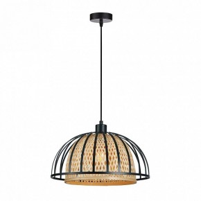 Подвесной светильник Arte Lamp Woodstock A7071SP-1BK в Еманжелинске - emanzhelinsk.ok-mebel.com | фото