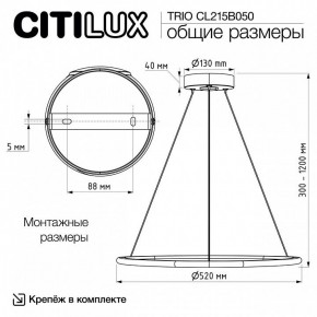 Подвесной светильник Citilux Trio CL215B050 в Еманжелинске - emanzhelinsk.ok-mebel.com | фото 9