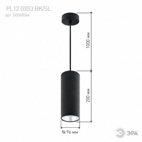 Подвесной светильник Эра  PL12 GX53 BK/SL в Еманжелинске - emanzhelinsk.ok-mebel.com | фото 8