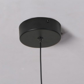 Подвесной светильник Favourite Wilet 4656-1P в Еманжелинске - emanzhelinsk.ok-mebel.com | фото 10
