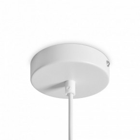Подвесной светильник Freya Shapes FR5530PL-L10W в Еманжелинске - emanzhelinsk.ok-mebel.com | фото 5
