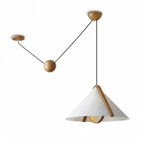 Подвесной светильник Freya Umbra FR5554CL-01T в Еманжелинске - emanzhelinsk.ok-mebel.com | фото 2