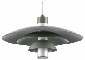 Подвесной светильник Lightstar Erbareo 799019 в Еманжелинске - emanzhelinsk.ok-mebel.com | фото