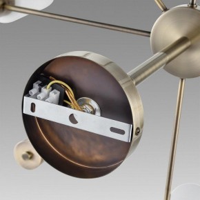 Подвесной светильник Lumion Mave 8100/12C в Еманжелинске - emanzhelinsk.ok-mebel.com | фото 6