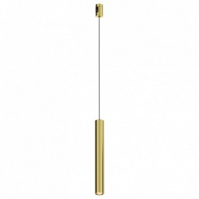 Подвесной светильник Maytoni Focus Led TR155-1-5W3K-BS в Еманжелинске - emanzhelinsk.ok-mebel.com | фото