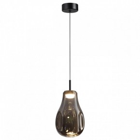 Подвесной светильник Odeon Light Nave 5098/4LC в Еманжелинске - emanzhelinsk.ok-mebel.com | фото 2