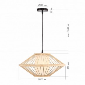Подвесной светильник ST-Luce ALMA SL6241.533.01 в Еманжелинске - emanzhelinsk.ok-mebel.com | фото 5