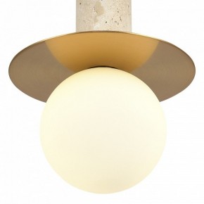 Подвесной светильник ST-Luce Earthy SL1194.303.01 в Еманжелинске - emanzhelinsk.ok-mebel.com | фото 5