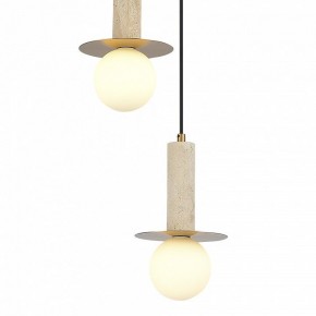 Подвесной светильник ST-Luce Earthy SL1194.303.03 в Еманжелинске - emanzhelinsk.ok-mebel.com | фото 4