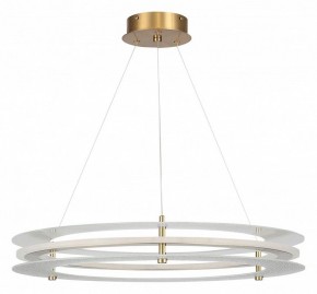 Подвесной светильник ST-Luce FAGY SL6245.203.01 в Еманжелинске - emanzhelinsk.ok-mebel.com | фото 3
